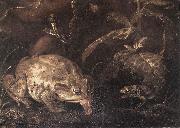 SCHRIECK, Otto Marseus van Still-Life with Insects and Amphibians (detail) qr USA oil painting artist